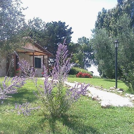 Casale Dinelli Villa Tarquinia Szoba fotó