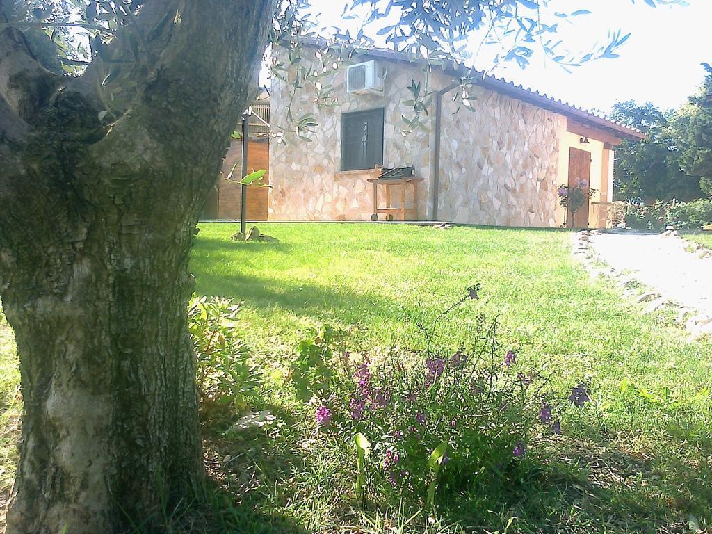 Casale Dinelli Villa Tarquinia Szoba fotó