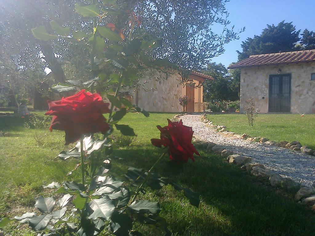 Casale Dinelli Villa Tarquinia Szoba fotó