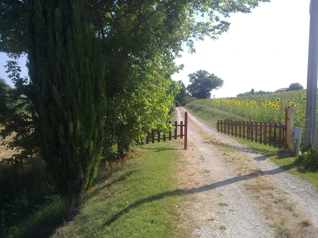 Casale Dinelli Villa Tarquinia Kültér fotó