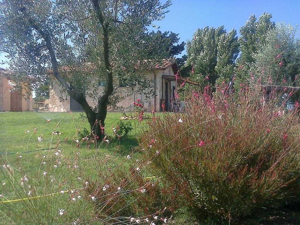 Casale Dinelli Villa Tarquinia Szoba fotó